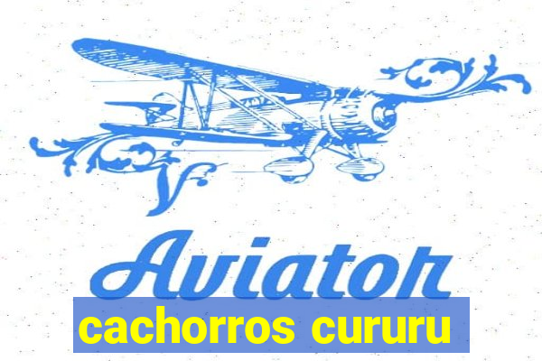 cachorros cururu